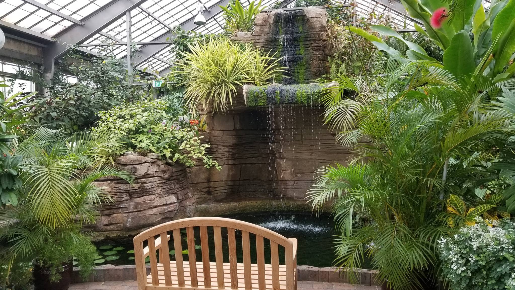 Inside Garfiled Park Conservatory, a bench faces a waterfall in a lush filled greenhouse.