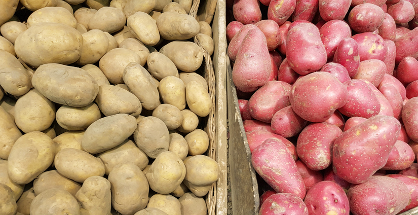 Basket with white and red potatoes on the counter. Organic natural vegetables, farm potatoes for sale