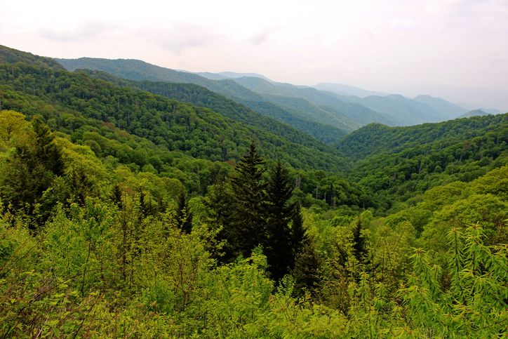 Smokey Mountains in Spring