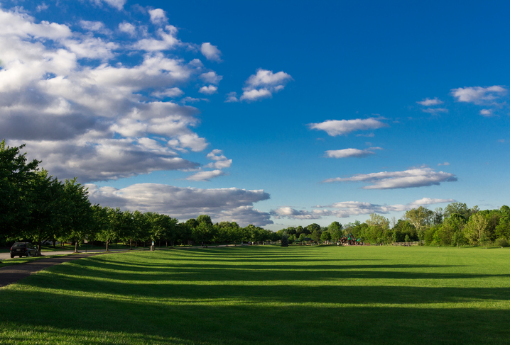 Summer Day in Indiana