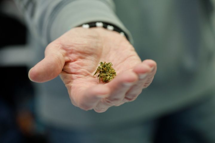 Marijuana