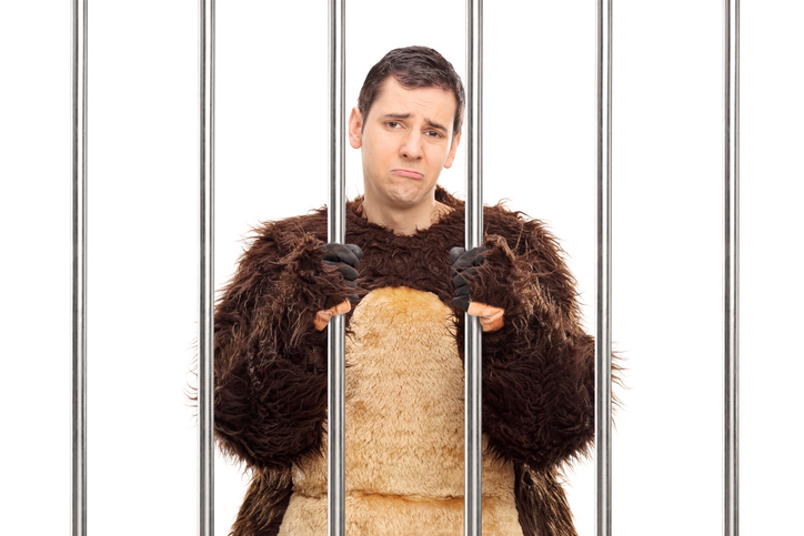 Sad man in a bear costume standing behind bars