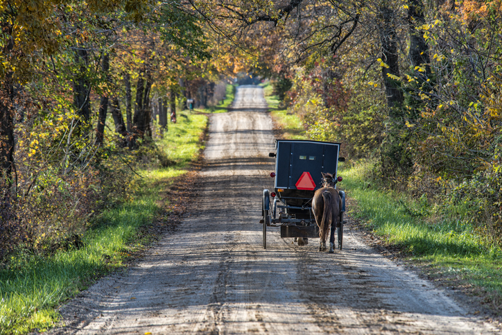 Indiana is home to one of the largest Amish populations in the United States