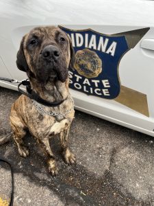 Image of Dog Rescued by State Police Officers