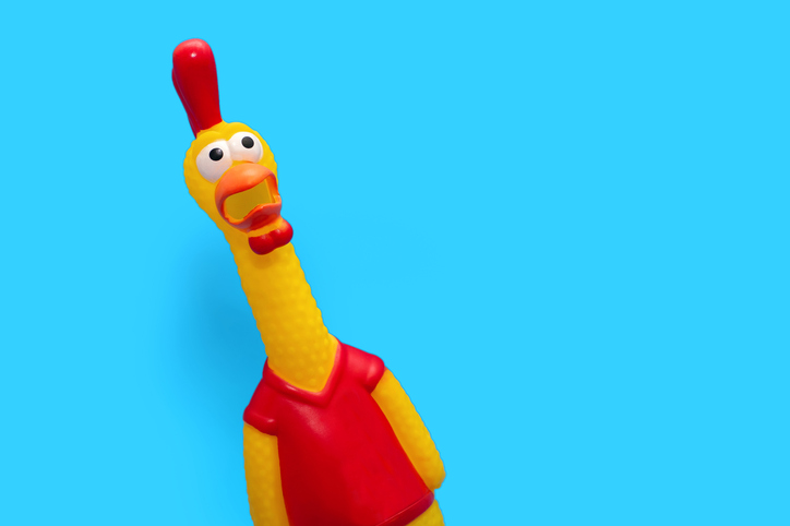 Rubber toy in the form of a rooster on a blue background