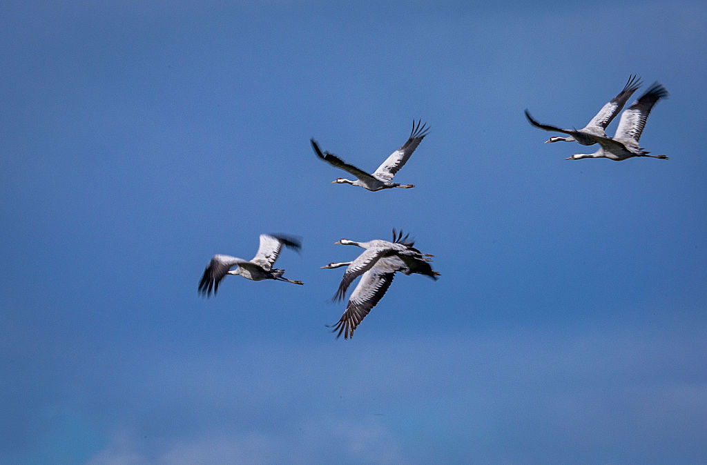 Astronomical beginning of fall
