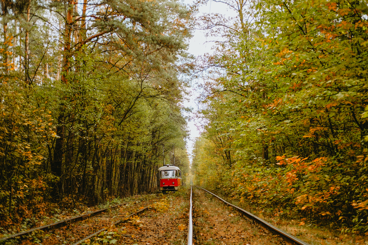 Railway tracks through a lush forest surrounded by autumn colors
