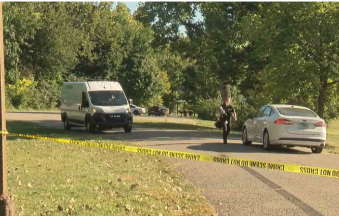 Baby Dead Brookside Park