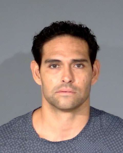 Mark Sanchez Booking Photo