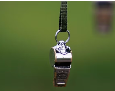 Referee Whistle